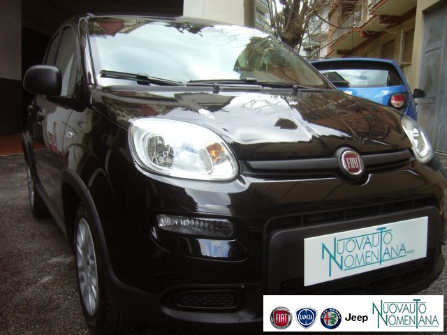 FIAT Panda usata, con Cruise Control