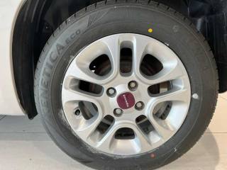 FIAT Panda usata, con Immobilizzatore elettronico