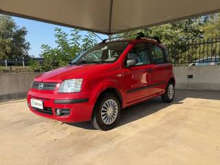 FIAT Panda 1.2 Dynamic OK NEOPATENTATI CON SERVOSTERZO