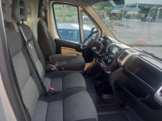 FIAT Ducato usata, con Cronologia tagliandi