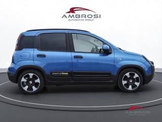 FIAT Panda usata 4