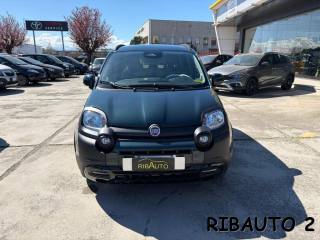 FIAT Panda usata, con Cronologia tagliandi