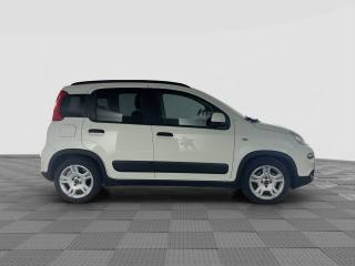 FIAT Panda usata 5