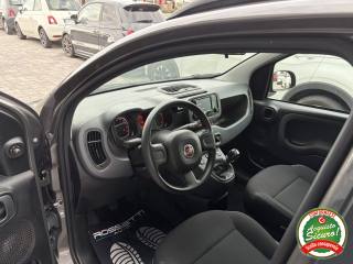 FIAT Panda usata, con Immobilizzatore elettronico