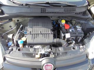 FIAT Panda usata 26