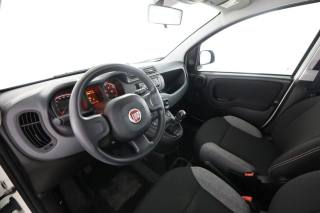 FIAT Panda usata 1