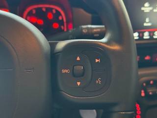 FIAT Panda Cross usata, con Servosterzo