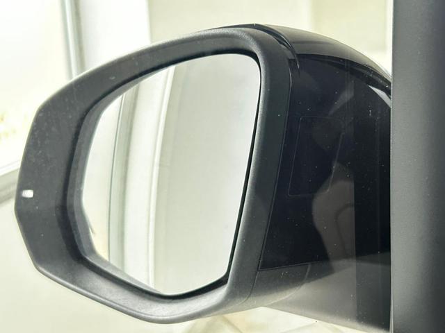 VOLKSWAGEN Multivan usata 60