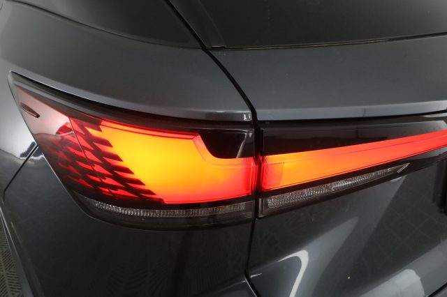 LEXUS RX 450h usata 9