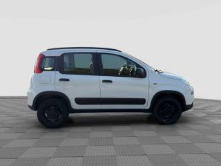 FIAT Panda usata 5