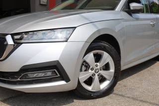 SKODA Octavia usata 159