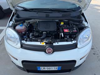 FIAT Panda usata 25