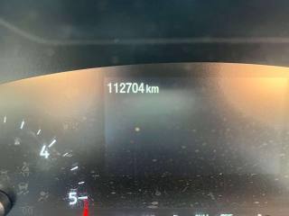 FORD Focus usata, con Fendinebbia