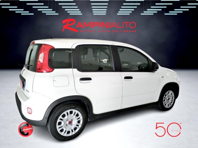 FIAT Panda usata 6