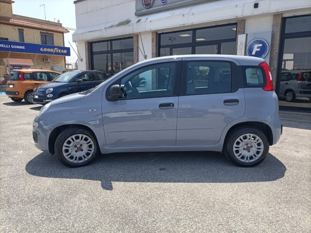 FIAT Panda usata, con Alzacristalli elettrici