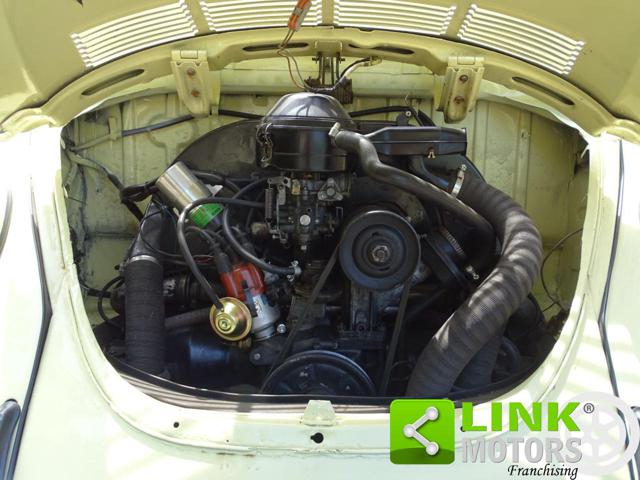 VOLKSWAGEN Maggiolone usata 25