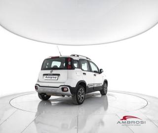FIAT Panda usata 2