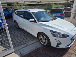 FORD Focus usata, con Cruise Control