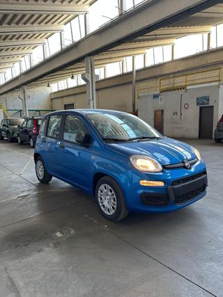 FIAT Panda usata, con Airbag Passeggero