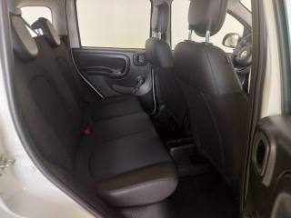 FIAT Panda usata, con Controllo automatico clima