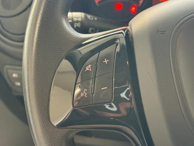 FIAT Fiorino usata, con Bracciolo