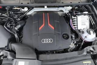 AUDI SQ5 usata, con Tettuccio apribile