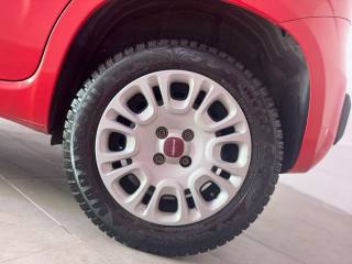 FIAT Panda usata 2