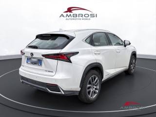 LEXUS NX 300h usata 2
