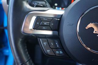 FORD Mustang usata 61