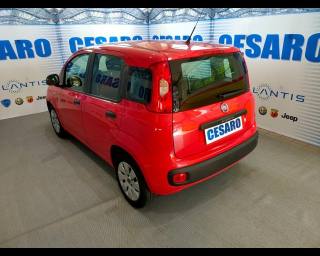 FIAT Panda usata, con Alzacristalli elettrici