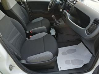 FIAT Panda usata, con Servosterzo