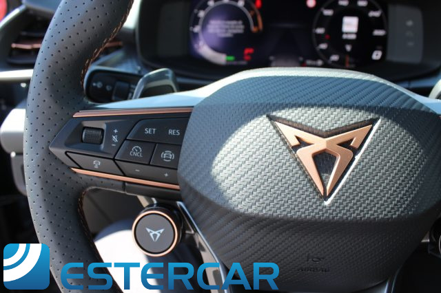 CUPRA Terramar usata, con Frenata d