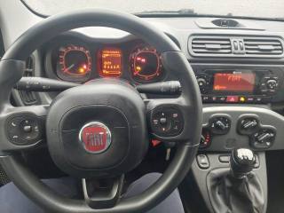 FIAT Panda usata, con Chiusura centralizzata
