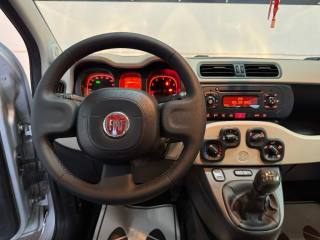 FIAT Panda usata 20