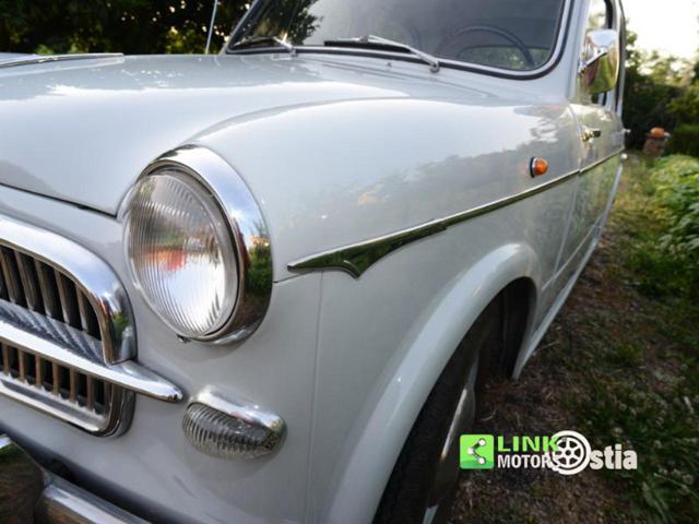 FIAT 1100 usata 25