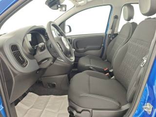 FIAT Panda usata, con Climatizzatore
