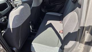 FIAT Panda usata, con Cruise Control