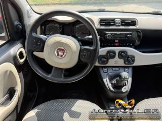 FIAT Panda usata, con Climatizzatore