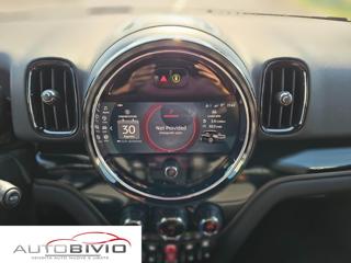 MINI Countryman usata, con Cronologia tagliandi