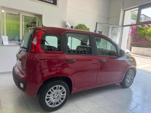 FIAT Panda usata, con Alzacristalli elettrici
