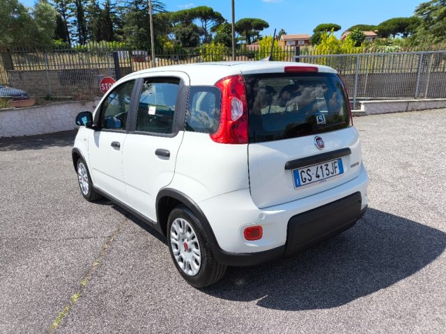 FIAT Panda usata 3