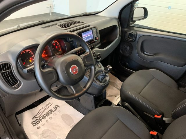 FIAT Panda usata, con Controllo trazione