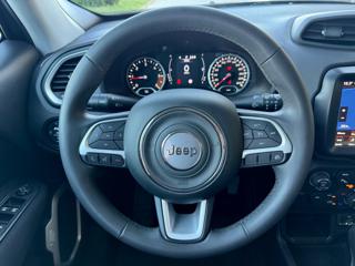 JEEP Renegade usata, con ESP