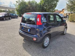 FIAT Panda usata, con Climatizzatore