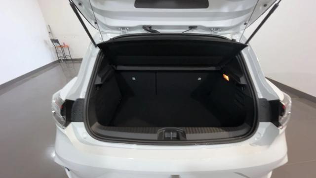 RENAULT Clio usata, con Fendinebbia