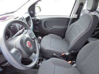 FIAT Panda usata 20