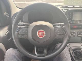 FIAT Panda usata, con Immobilizzatore elettronico