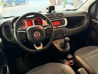 FIAT Panda Cross usata, con Climatizzatore