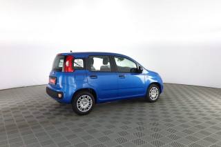 FIAT Panda usata 2