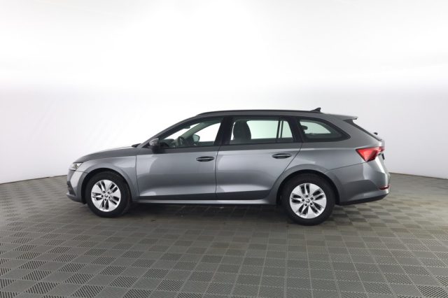 SKODA Octavia usata 5